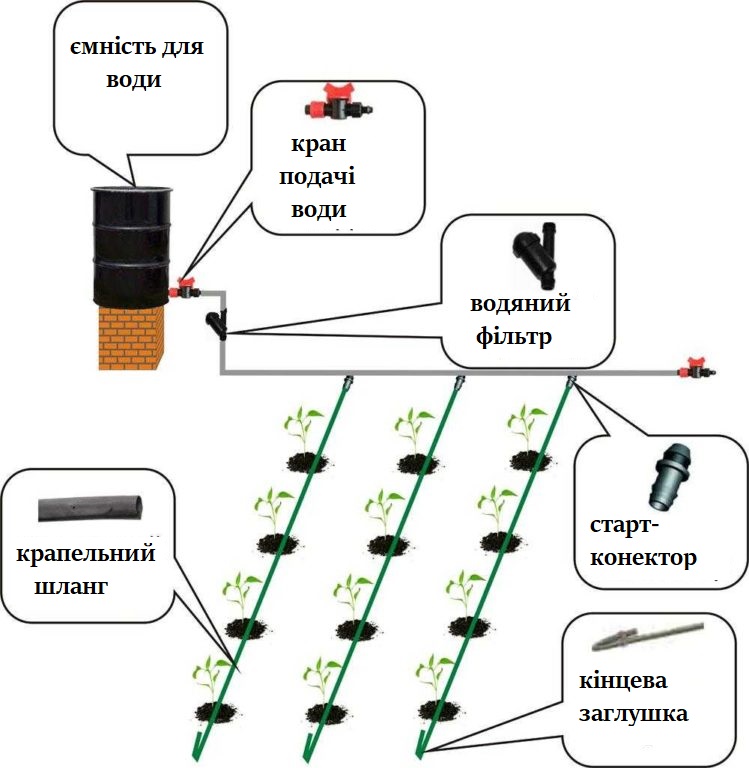 Схема крапельного поливу з бочки легко реалізується своїми руками