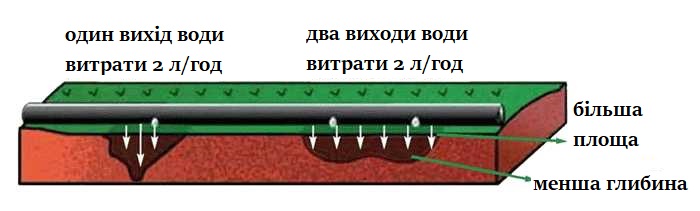 Один або два виходи. Вибирають залежно від кореневої системи рослини