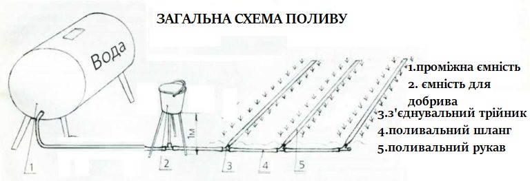 Схема крапельного поливу самопливного типу: